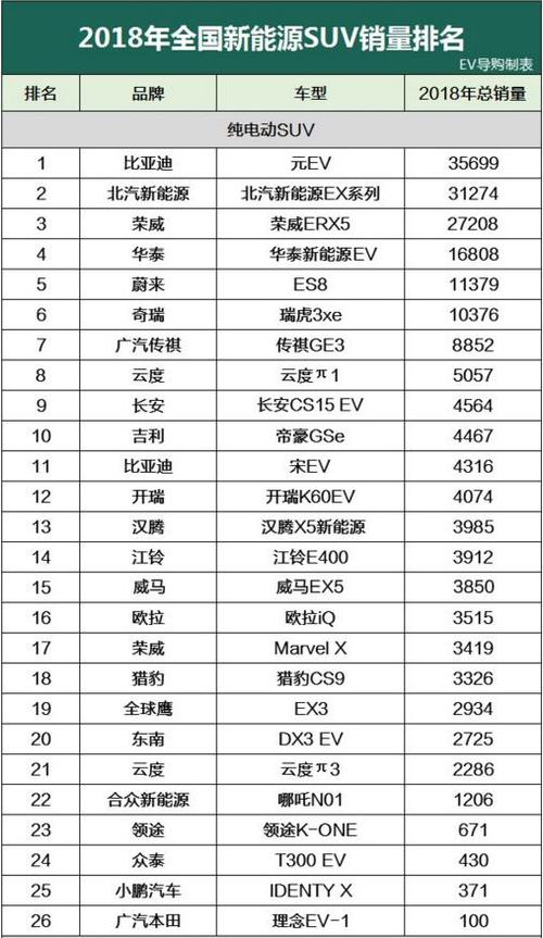新能源汽车品牌前十名榜，引领绿色出行的未来